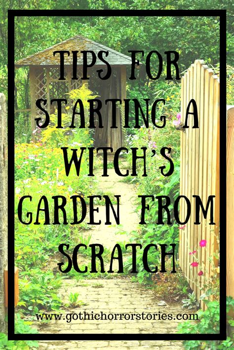 Witchcraft Plants: Growing and Caring for Magickal Herbs Indoors